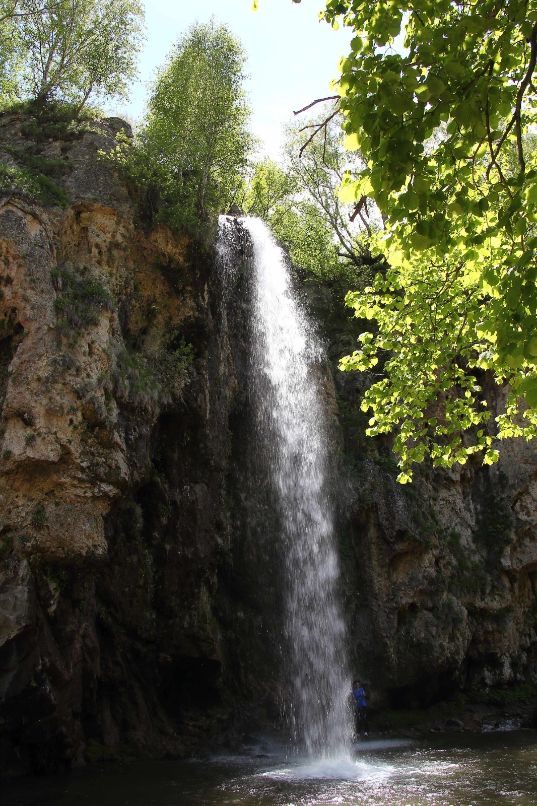 h-6121.jpg