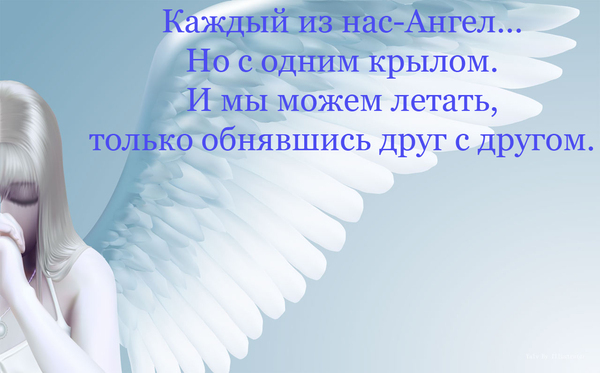 Некоторые ангелы выбирают шерсть вместо крыльев картинка