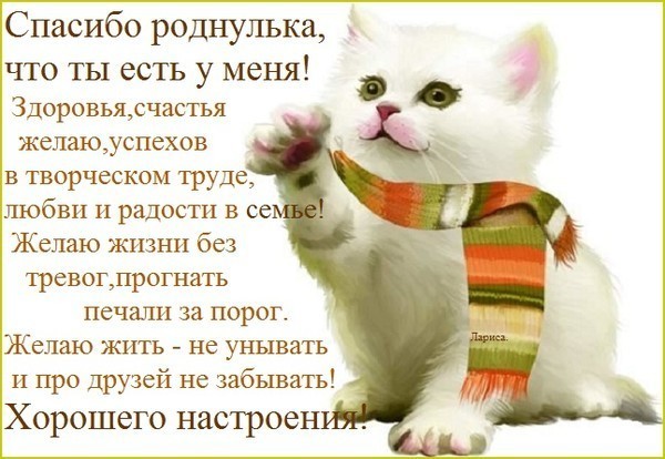Спасибо Любимка Картинки