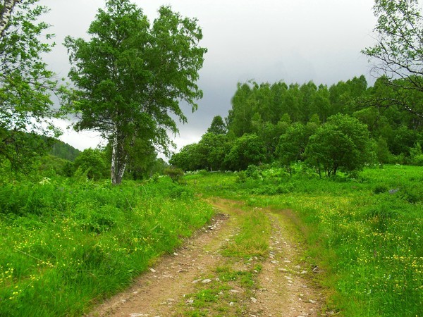 Слушать куда ведет тропинка