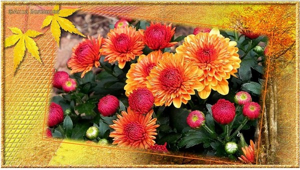 Cards, Painting, Flowers