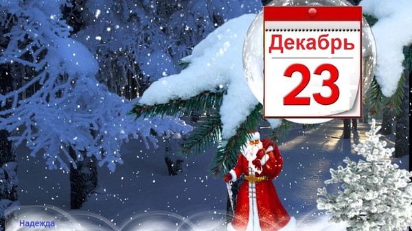 23.12 2023