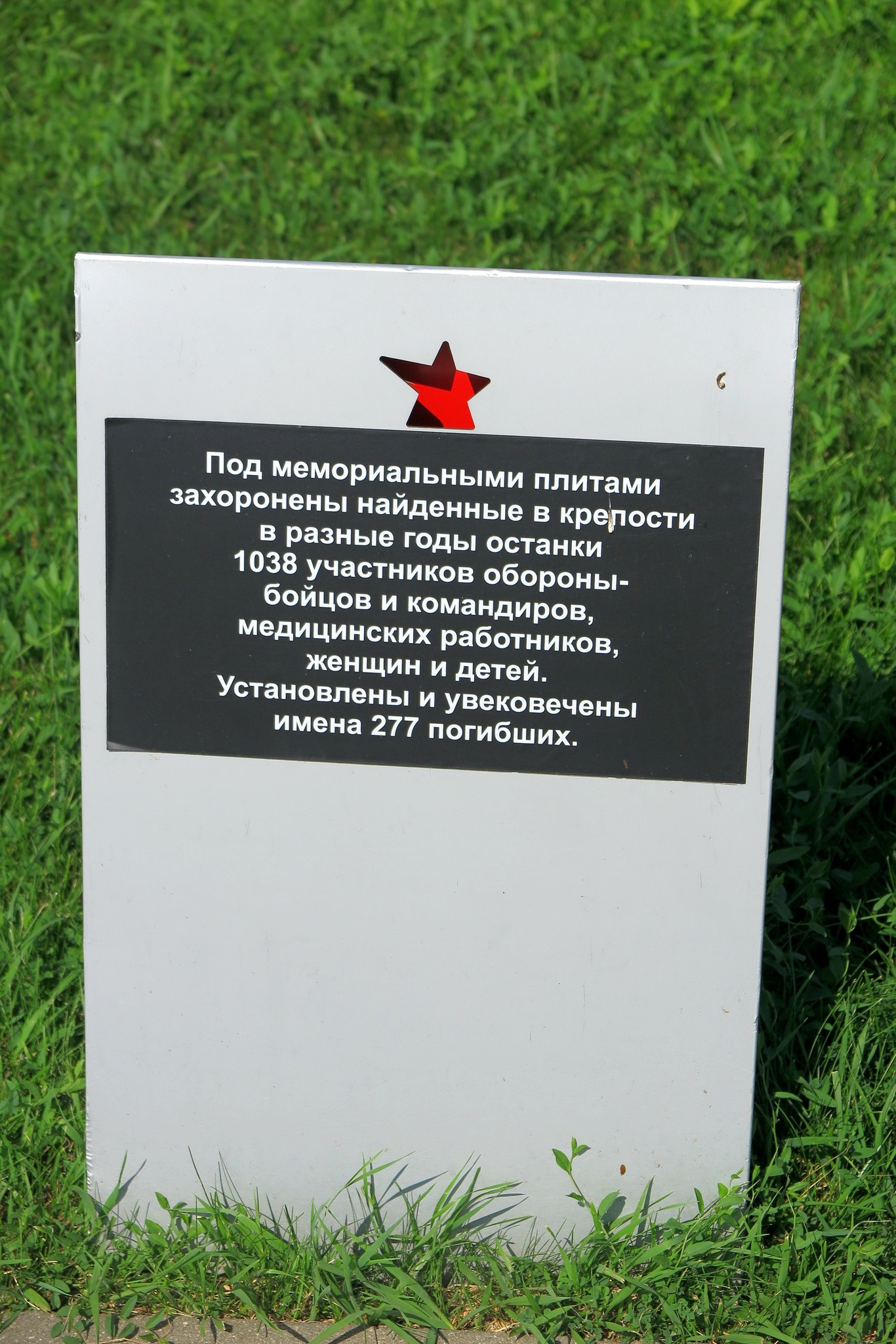 h-1407.jpg