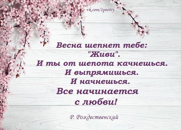 Мы справимся шепнул мне новый день и спрятал в шкаф непрошенную тень