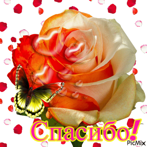 Picture background