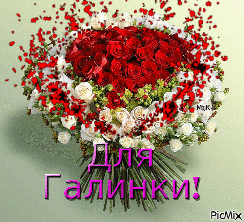 Погода картинки, открытки цветы для галины