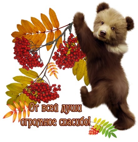 Осеннее Спасибо Гифки
