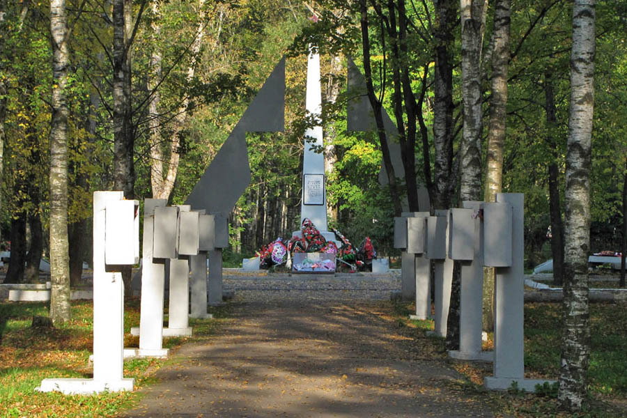 Город чудово новгородской