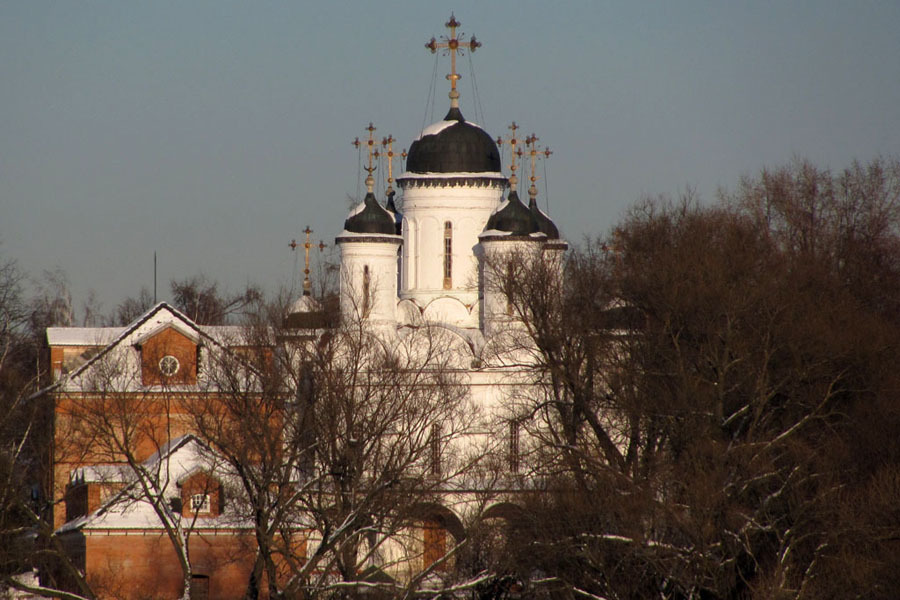 Фото в голицыно