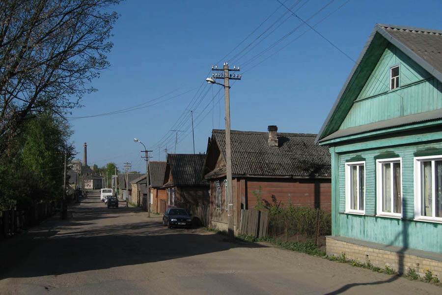 Метеонова невель псковская область. Городское поселение Невель. Городское поселение Невель города Псковской области. Невель город Псковская. Население Невель Псковской области.