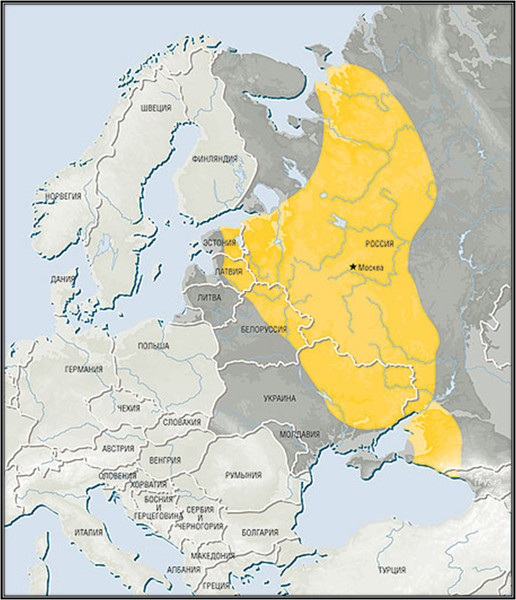 Карта расселения русских