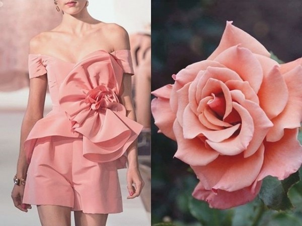 Розы на одежде