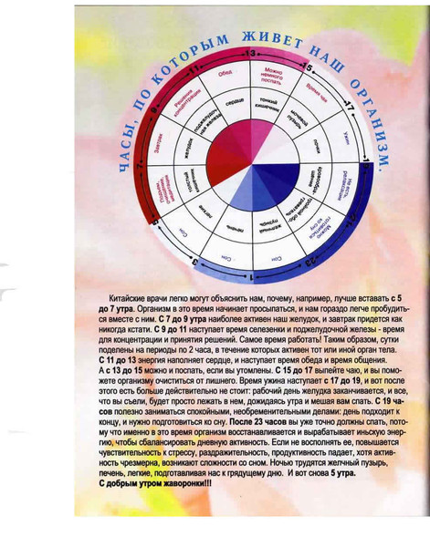 Китайская медицина меридианы органов в схемах и таблицах
