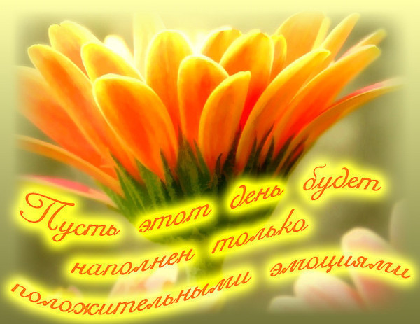 Картинки добрые позитивные пожелания