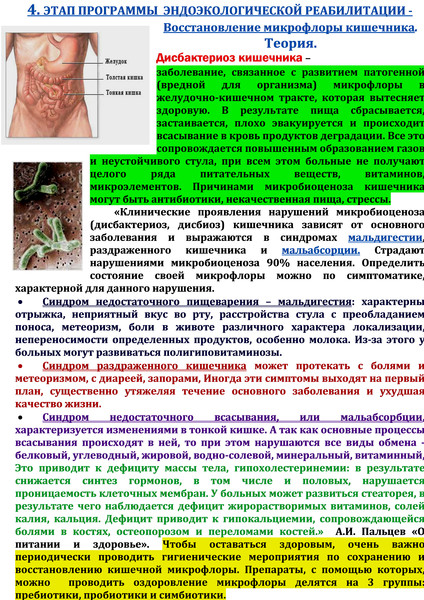 Схема восстановления микрофлоры кишечника