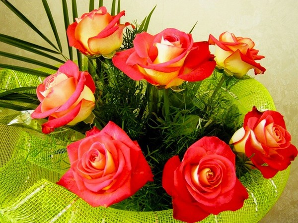 Pin on Любовь Beautiful roses, Birthday, Novelty christmas
