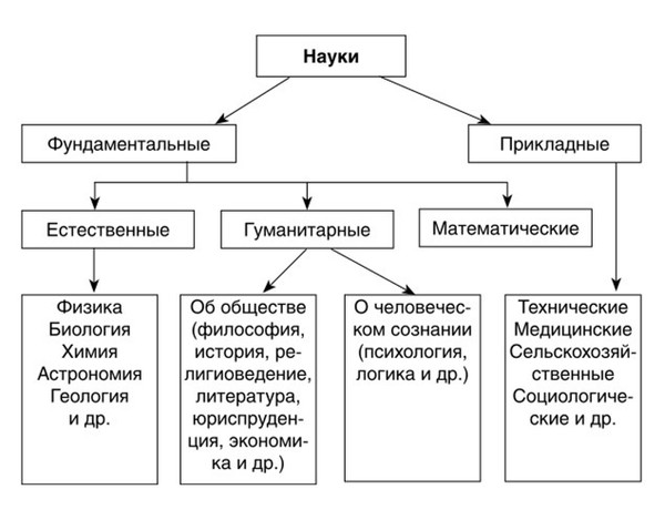 Прикладные науки и фундаментальные: что относится, …