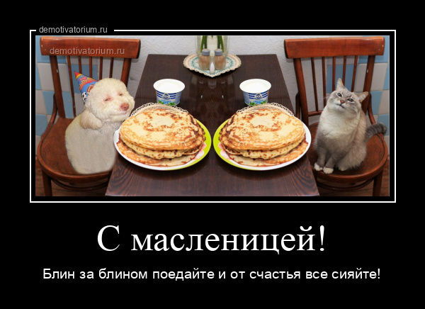 Кот с блинами мем Масленица пришла, позитивчик принесла! - Блог. Сергей Прост, пользователь Сергей