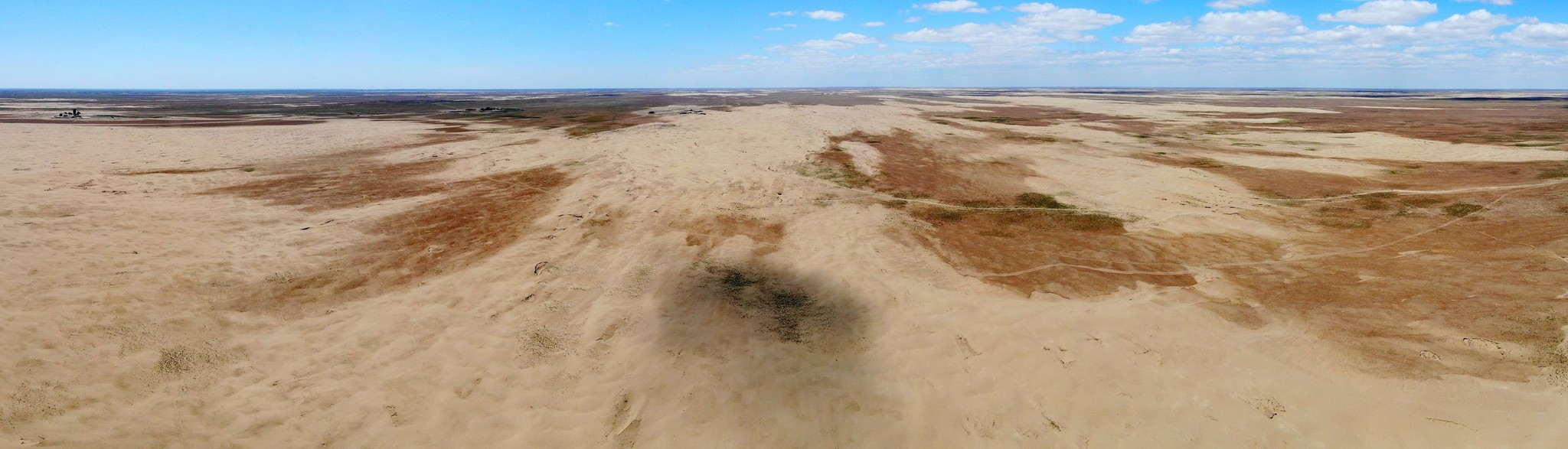Новые участки земли, превращающейся в пустыню, обнаружили в Астраханской области