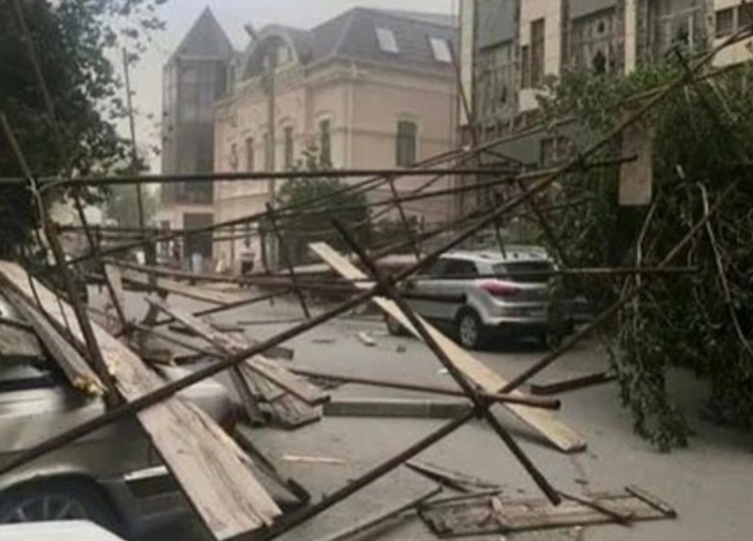 Под Астраханью во время бури маленькую девочку придавило деревом |  20.05.2021 | Астрахань - БезФормата