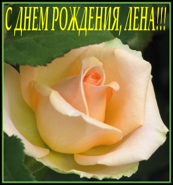 Открыток, с днем рождения леночек картинки