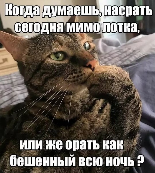 false