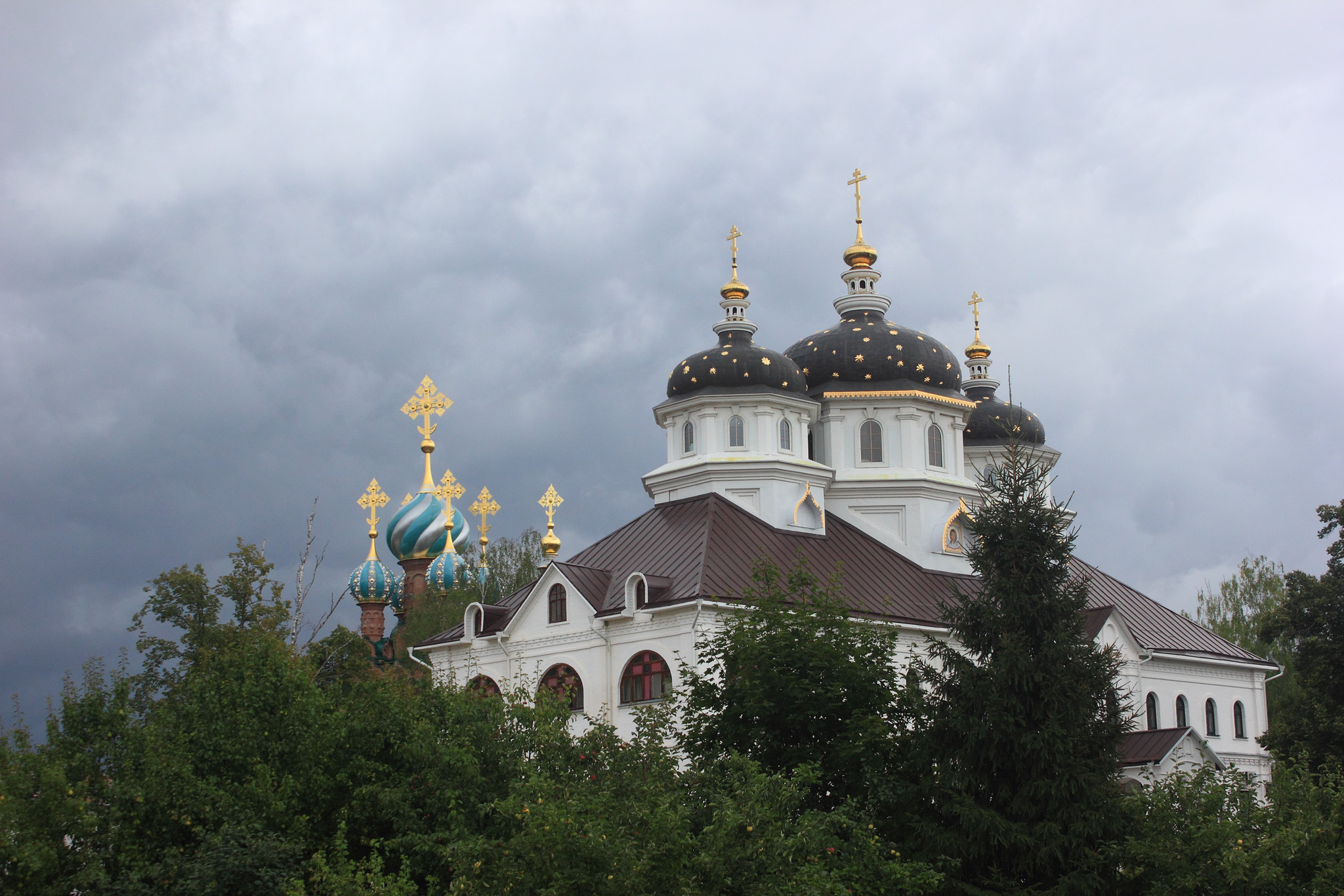 Николо-Сольбинский монастырь