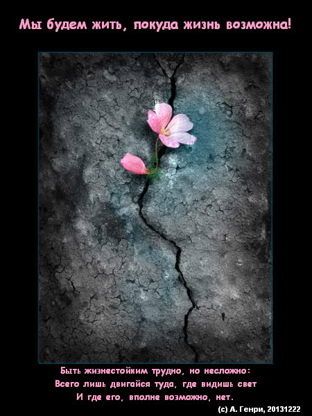 Resilient flower