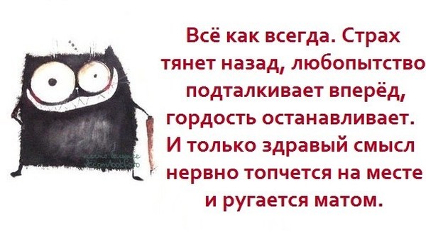 Картинки про любопытство в чужой жизни