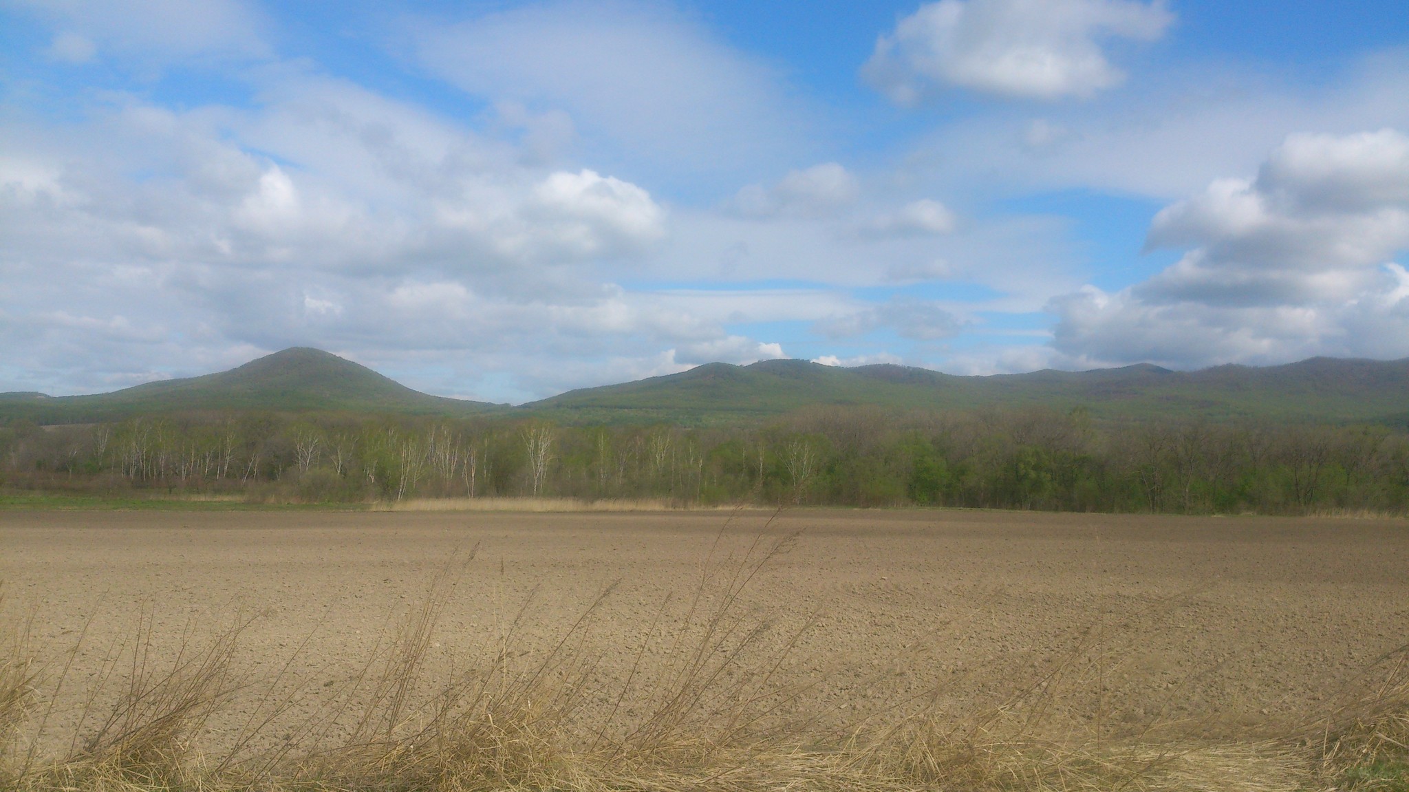 Село сибирцево