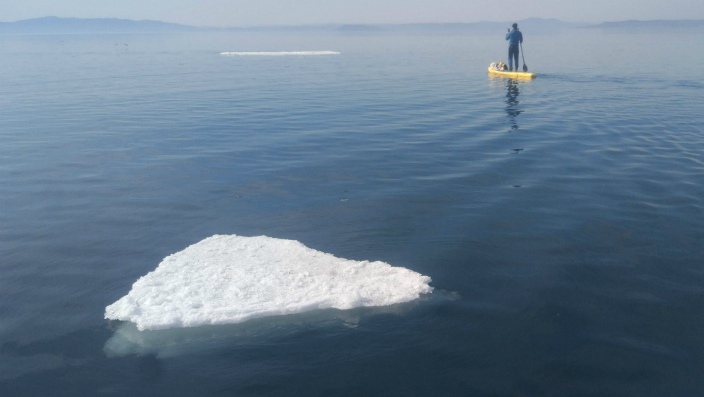 sup-surf