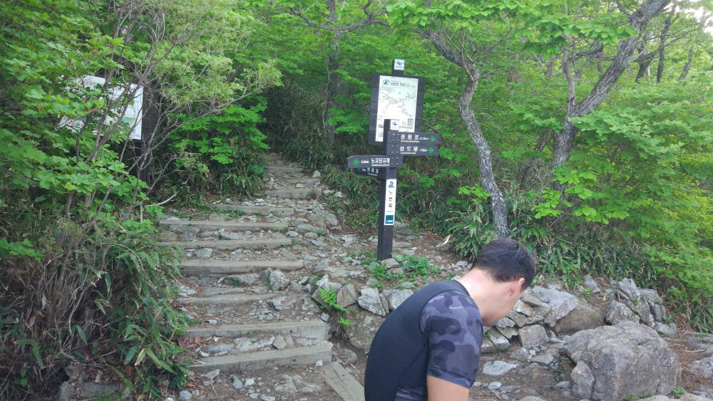 National park Jirisan