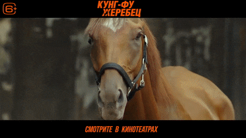 Просмотренное Просмотренное