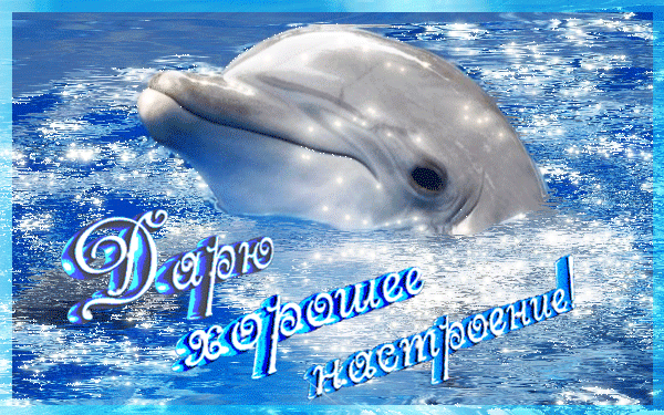 Открытки с днем рождения дельфины