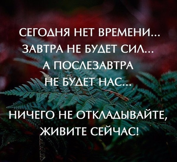 Слишком долгое ожидание дает привкус ненужности картинки