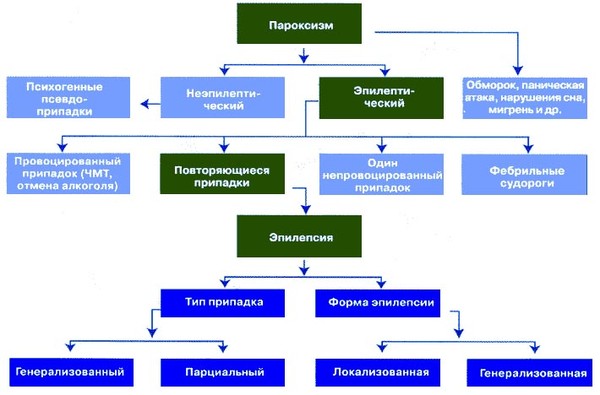 Приведите схему типы судорог в соответствии