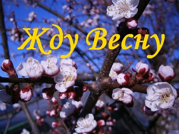 Картинки я жду весну