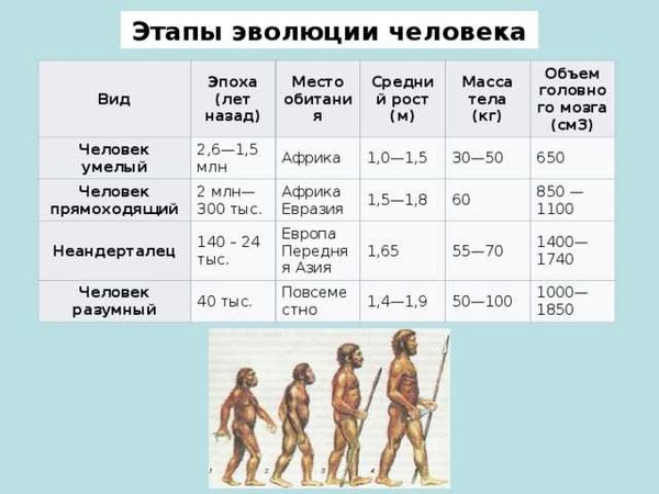 Внимательно рассмотрите рисунки 86 и 87 по рисунку 86 проанализируйте эволюционные