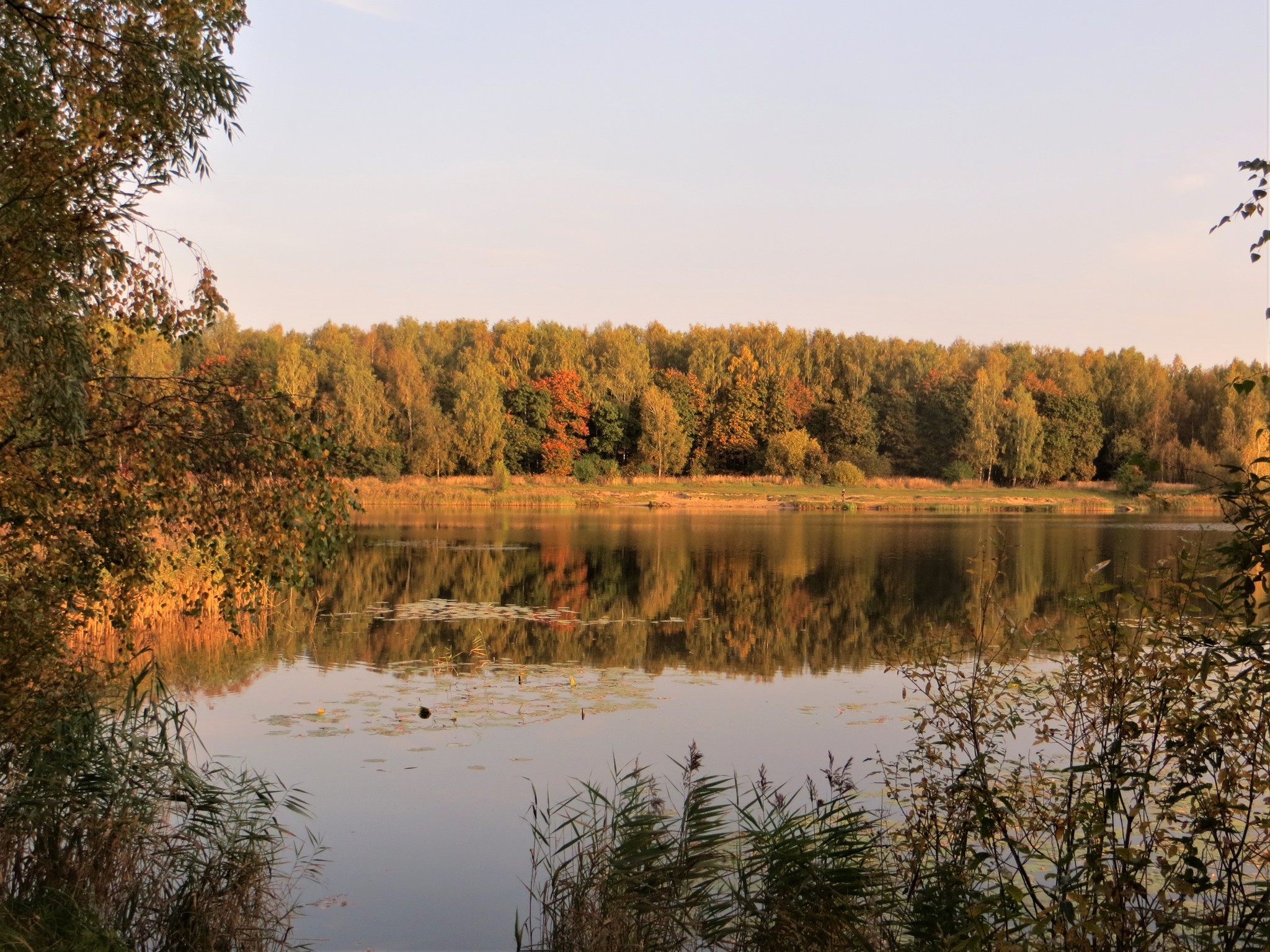 Воскресное утро