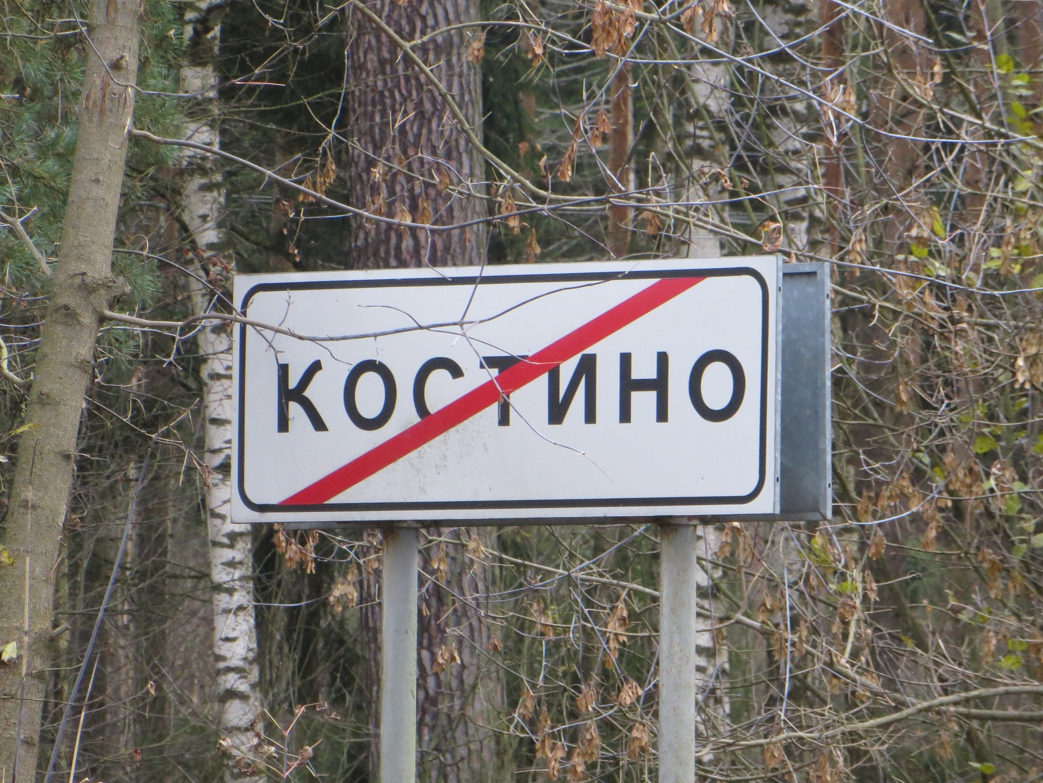 Костино, Пушкинский район