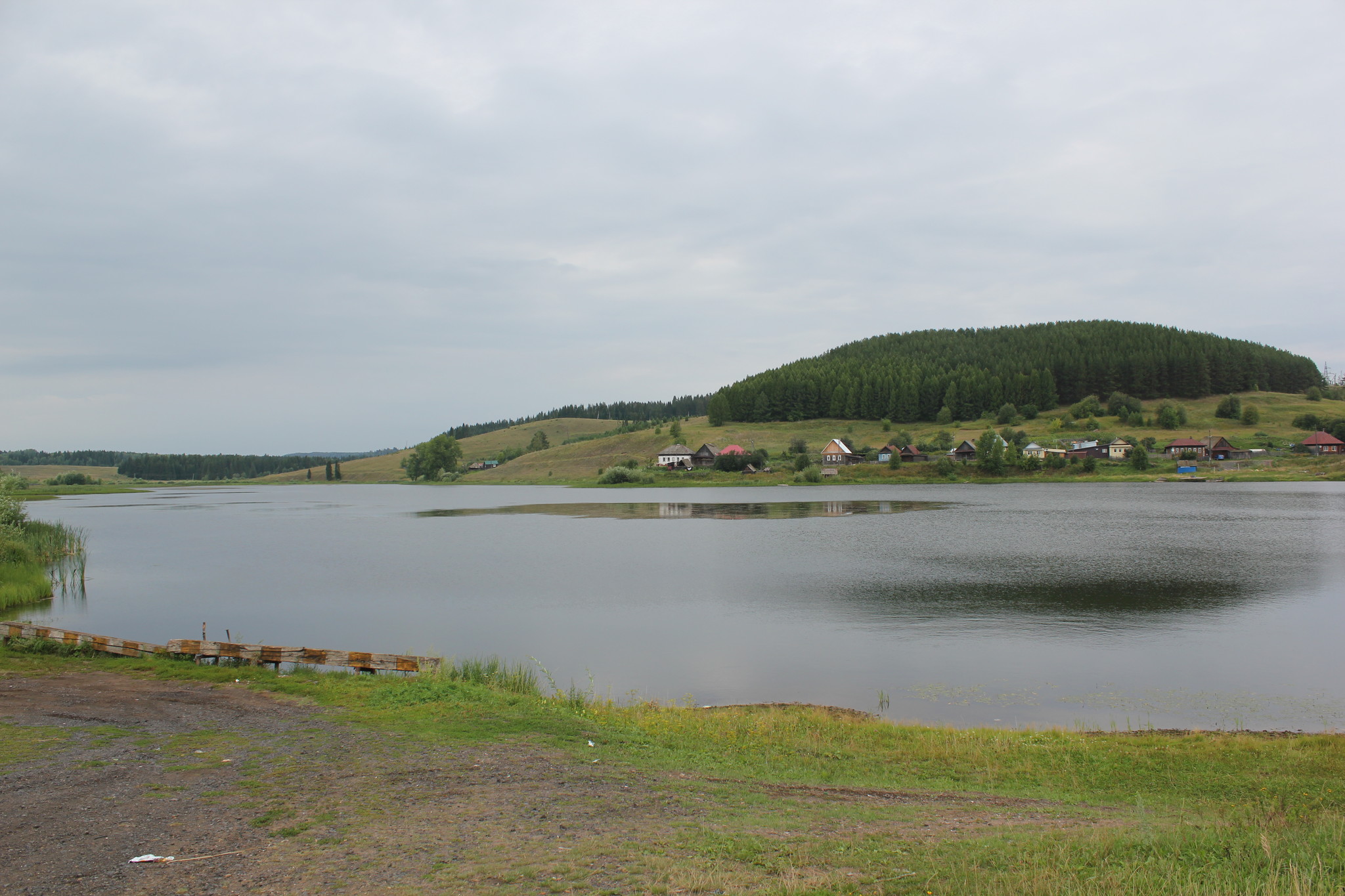 Село калинино. Калинино Белгородская область. Калинино пруд. Калинино озеро. Село Стафурлово пруд.