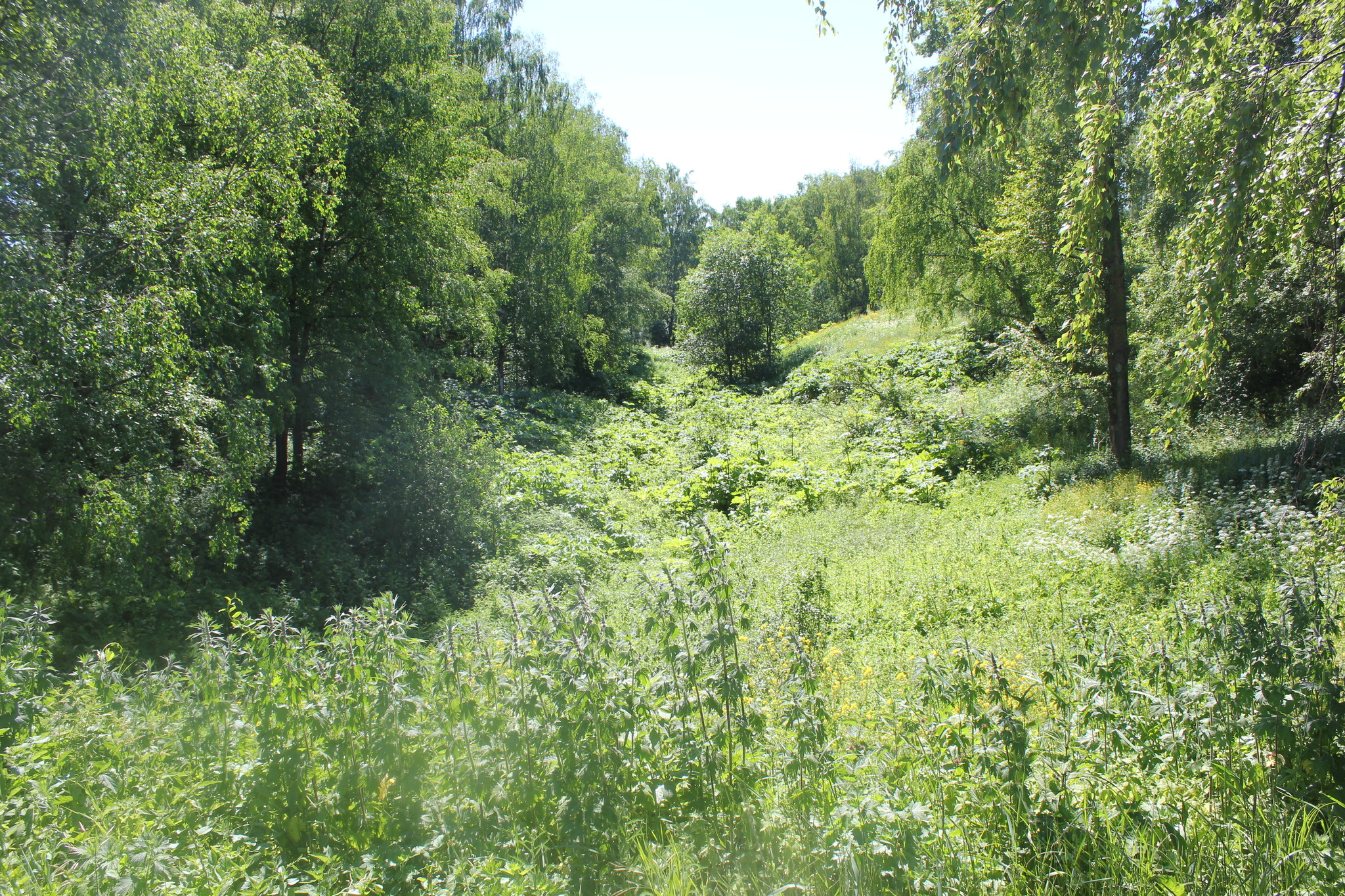 Тутаев. Романовская сторона (запад) 