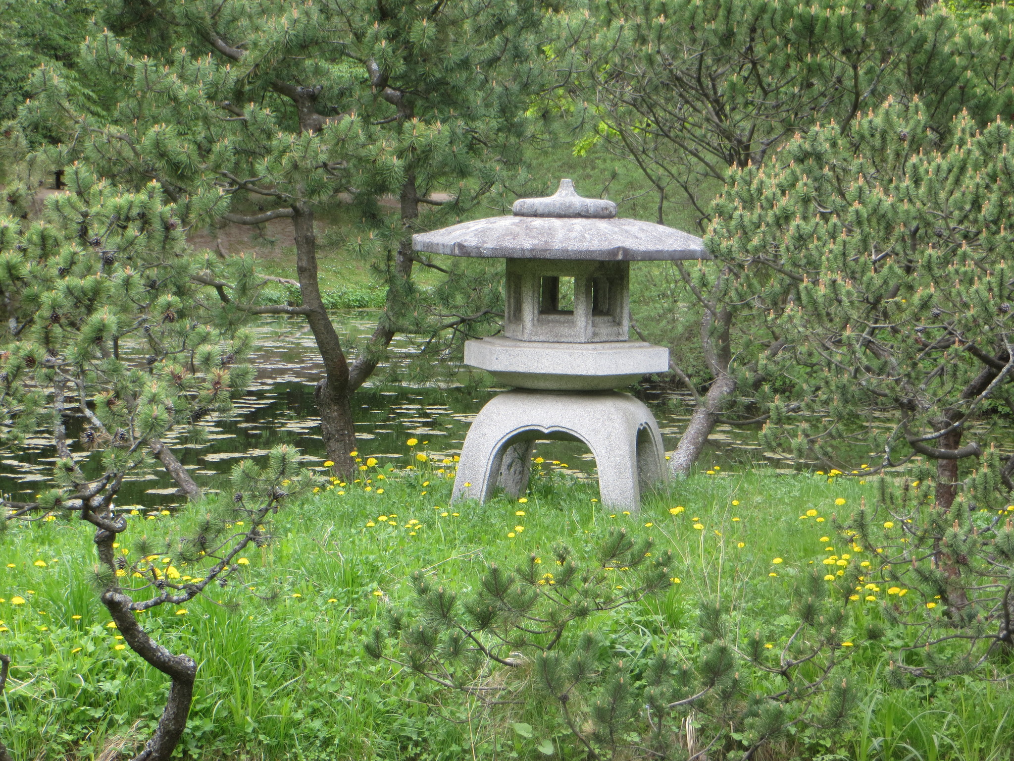 Ландшафтный дизайн садового участка в японском стиле | Дизайн японского сада
