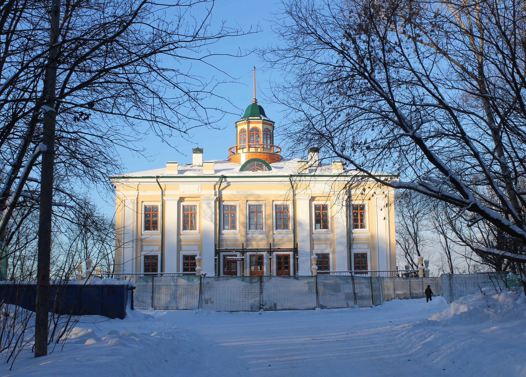 дом в парке кунцево (97) фото