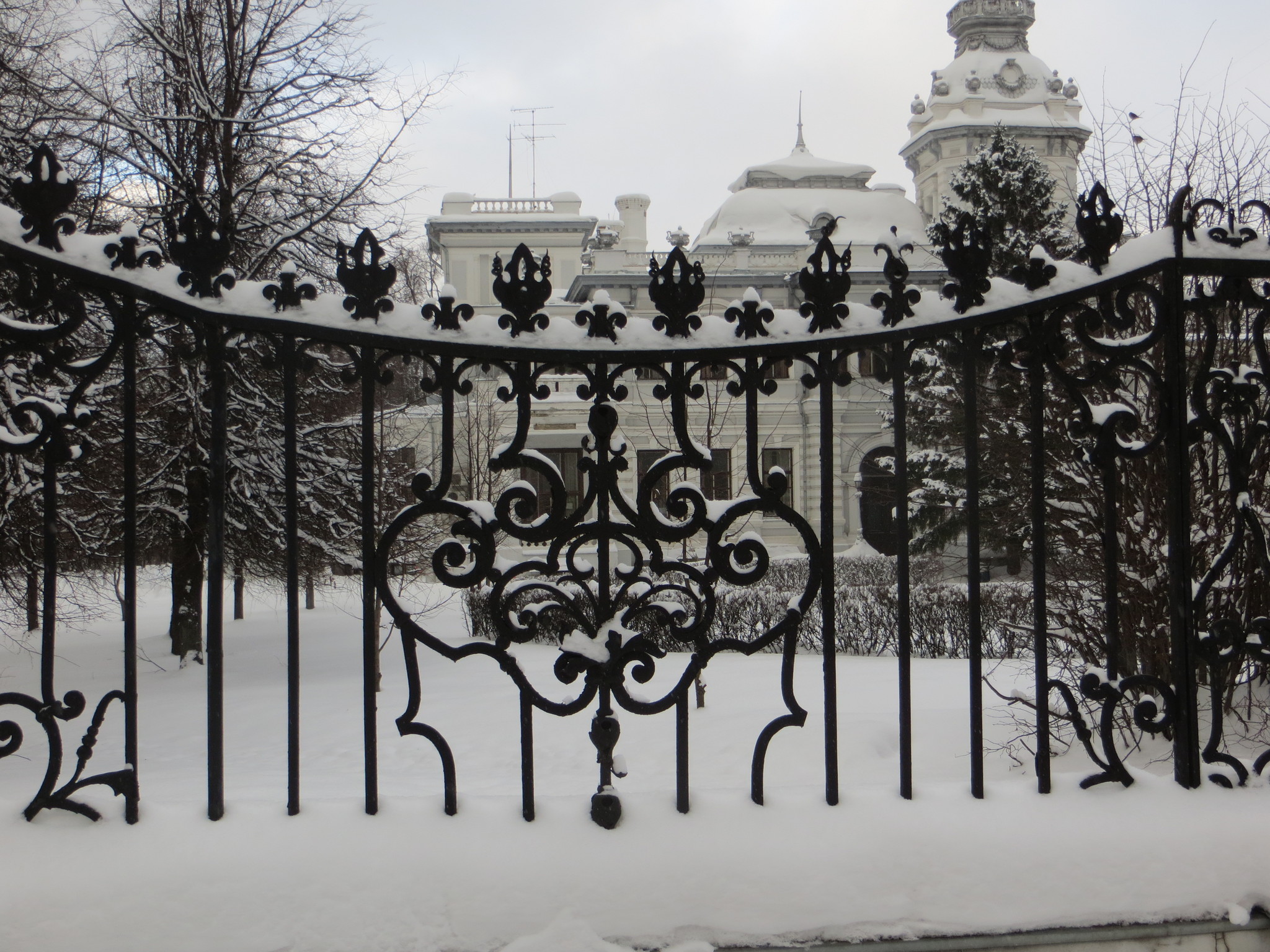 грачевский парк в москве