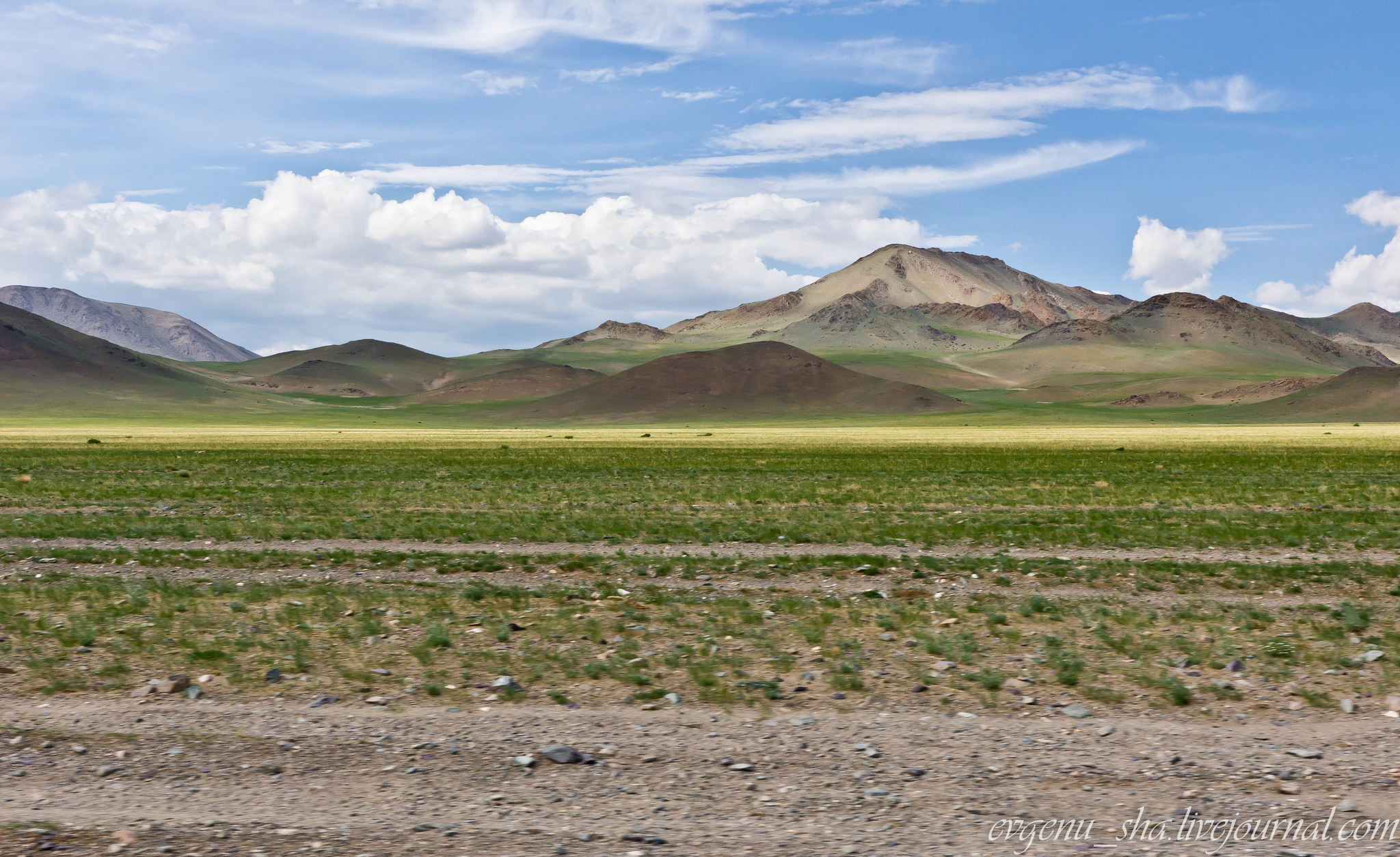 Монголия в какой части света. Терра Монголия Барнаул. Монголия давно земля. Монголия давноя земля.