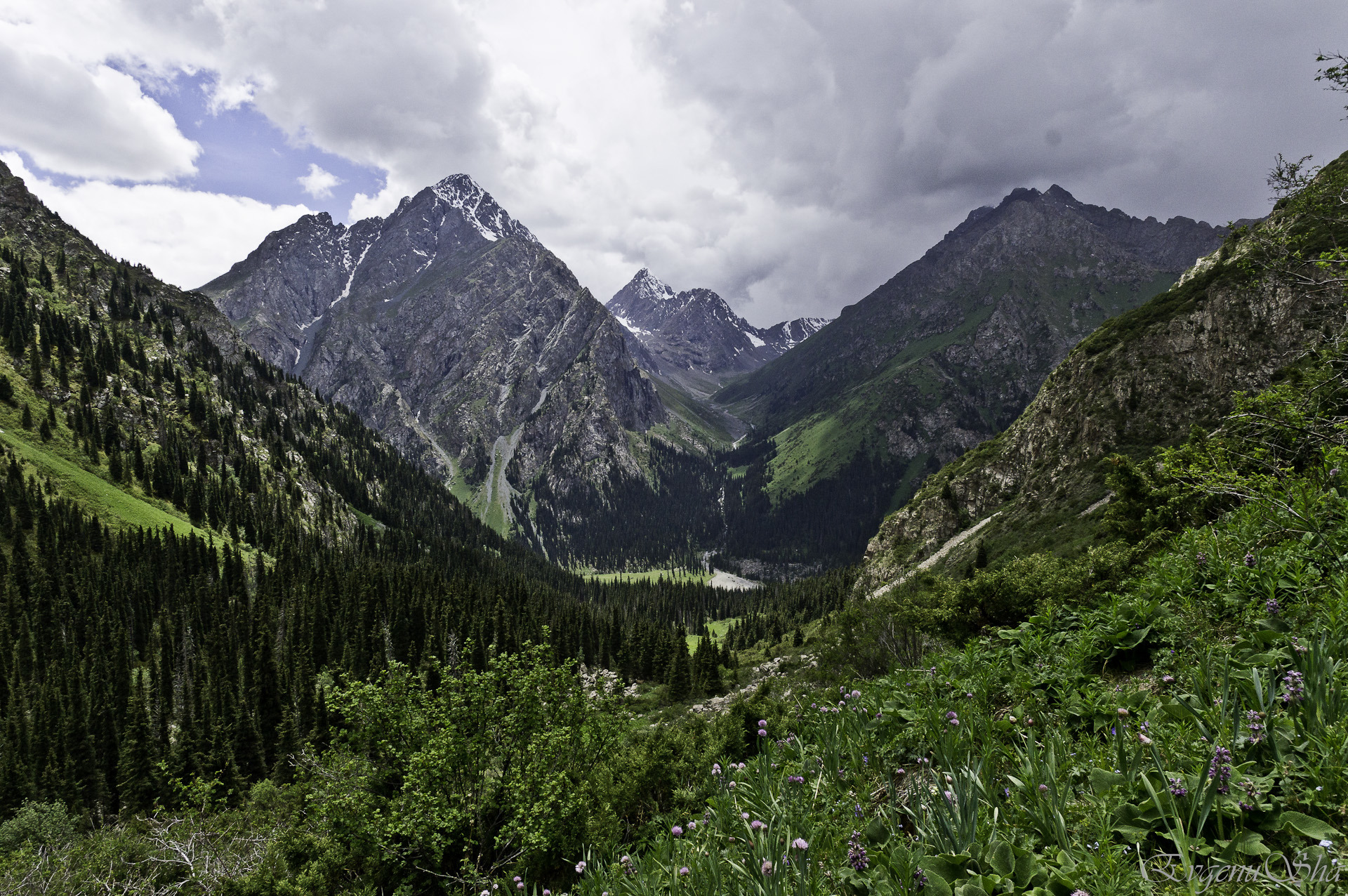 Западный тянь шань фото