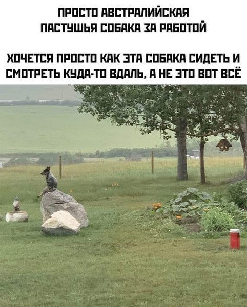 false