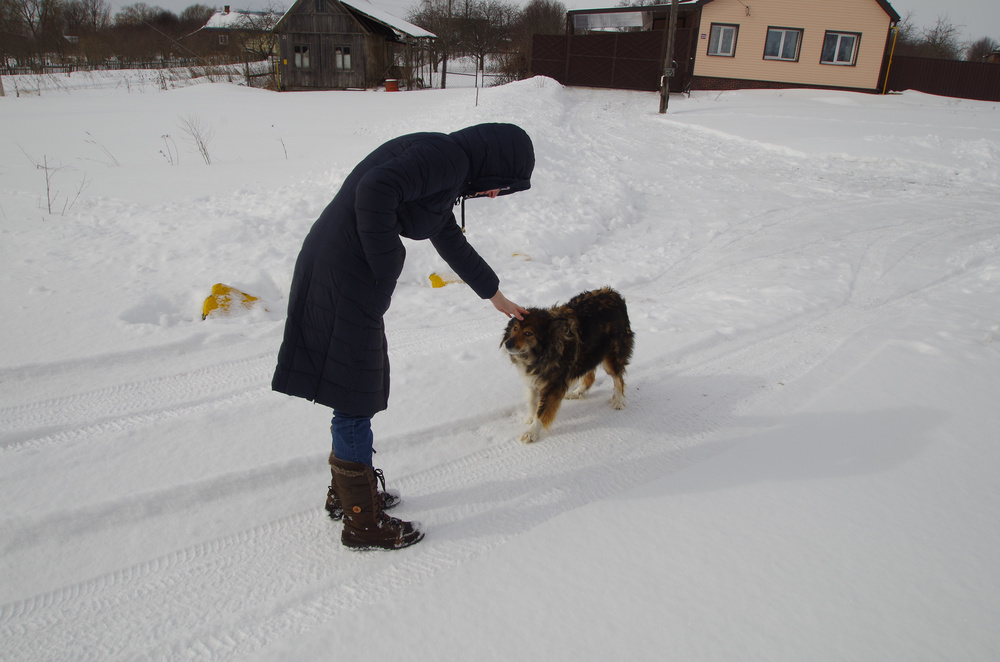 https://content.foto.my.mail.ru/mail/shel1983/19-20_03_16/h-76697.jpg