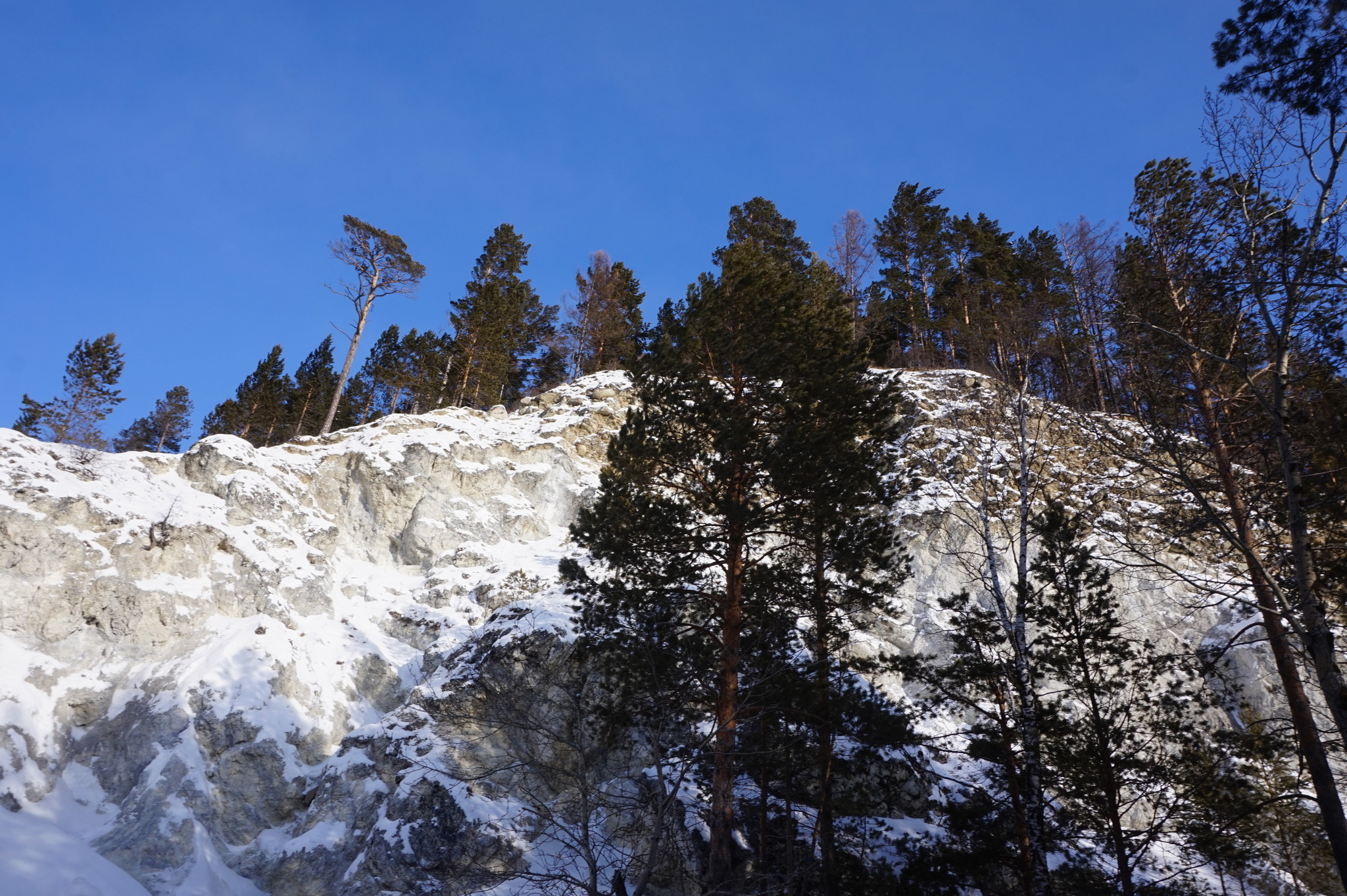 Усадьба сороковиковых аршан фото